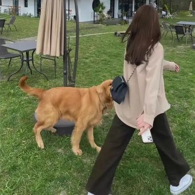 绝命逃离所